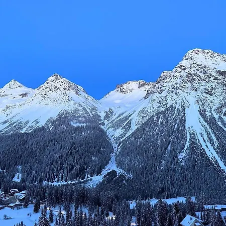 Gentiana C-7 * Arosa