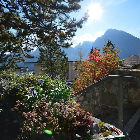 Gentiana C-7 * Arosa